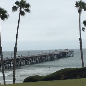 Meet your Posher, Ginger